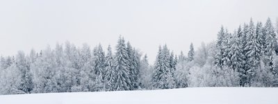 Valged jõulud